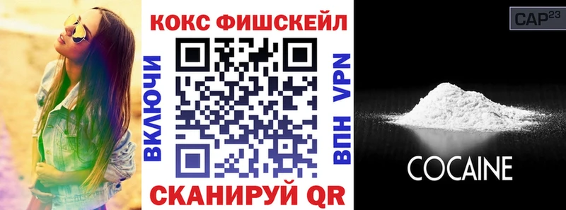 OMG tor Чудово Cocaine Fish Scale