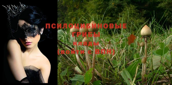 круглые Арсеньев