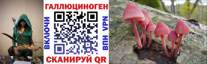 мега маркетплейс  Чудово  Псилоцибиновые грибы Cubensis 